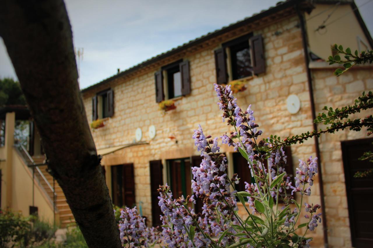 Campo Del Mare Bed & Breakfast ซีโรโล ภายนอก รูปภาพ