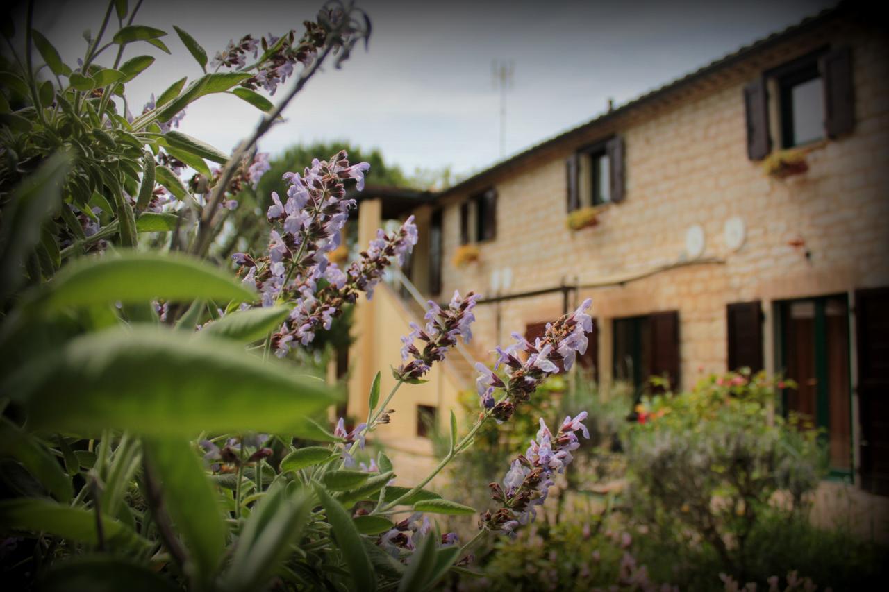 Campo Del Mare Bed & Breakfast ซีโรโล ภายนอก รูปภาพ